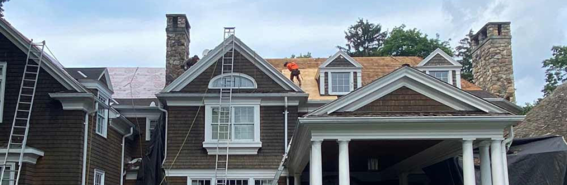 Roof Shark Cover Image