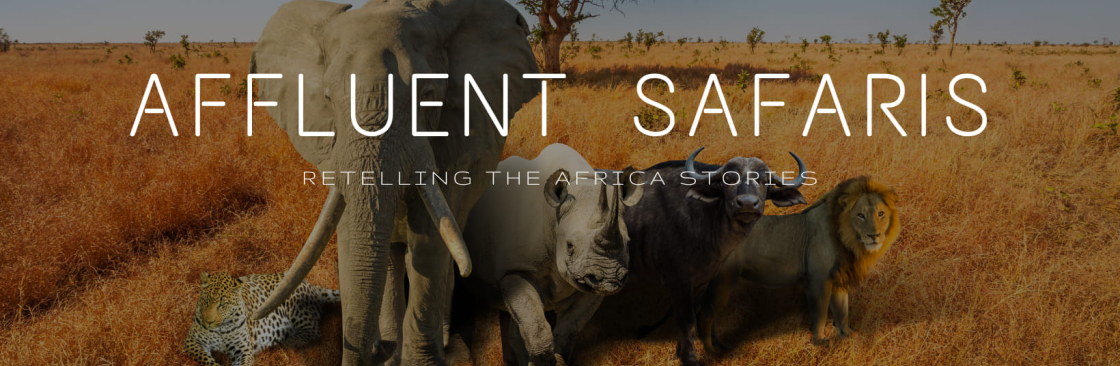 Affluent Safaris Ltd Cover Image