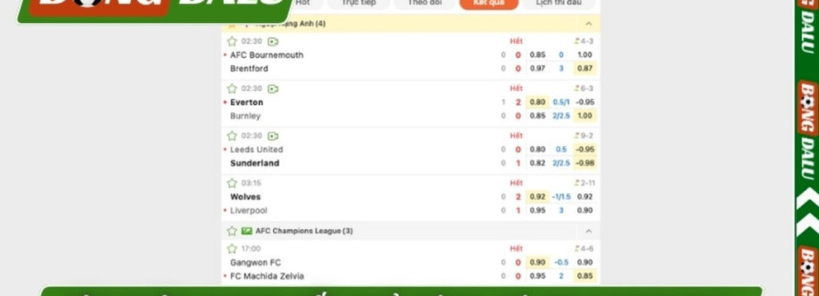 Bongdalu Cover Image