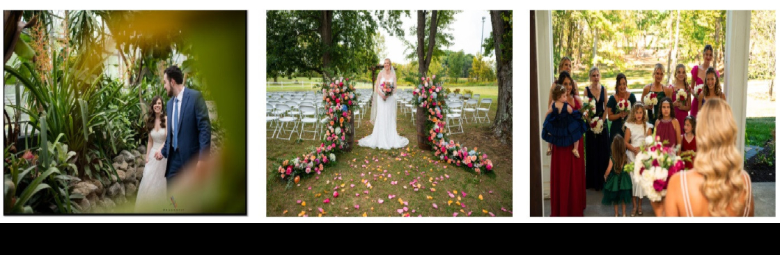 Rising Ashes Designs Cover Image