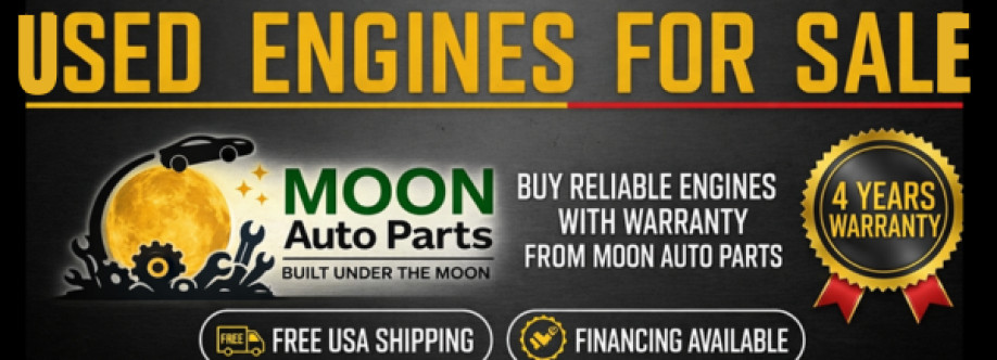 Olive Sophia Cover Image