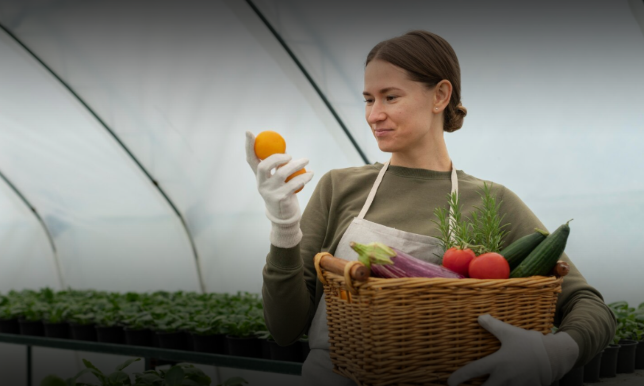Cultivating Tomorrow: How Food & Agriculture Are Evolving - Pepagora Blog
