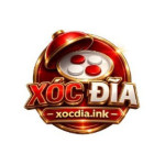 Xocdia ink Profile Picture