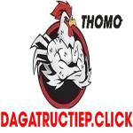 ĐÁ GÀ TRỰC TIẾP CLICK Profile Picture