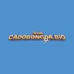 Trangcadobongda bio Profile Picture