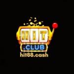 Hit88 cash Profile Picture