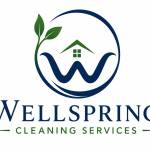 Wellspring Cleaning Services LLC Profile Picture
