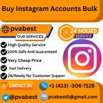 Instagram Accounts Bulk Profile Picture