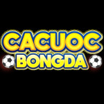 CaCuoc BongDa Profile Picture