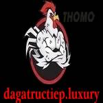 ĐÁ GÀ TRỰC TIẾP LUXURY Profile Picture