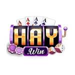 haywini com Profile Picture