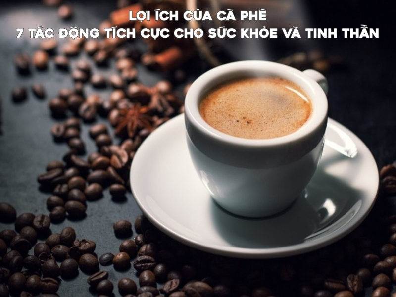 Bài Viết - FivCafe