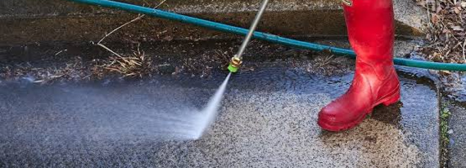 pressurewashings Cover Image