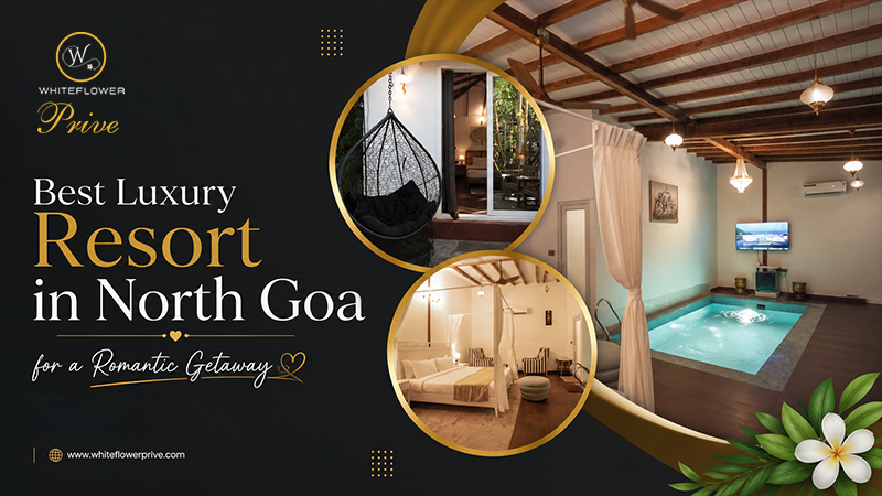 Best Luxury Resort in North Goa for a Romantic Getaway