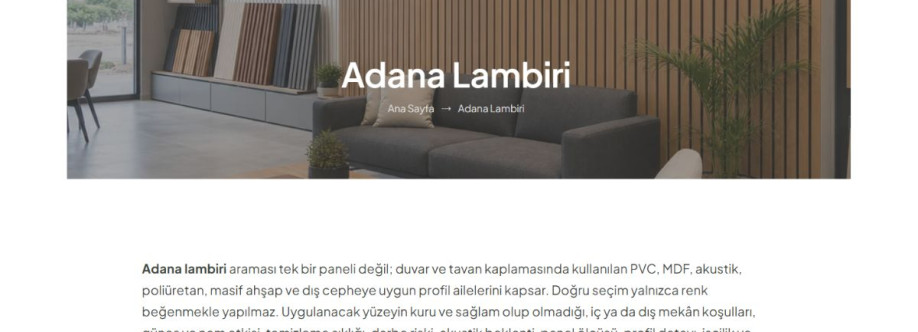 adana plastik lambiri Cover Image