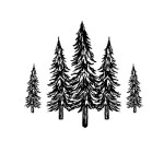 Nathan and Sons Profile Picture