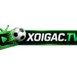 xoigac tvv Profile Picture