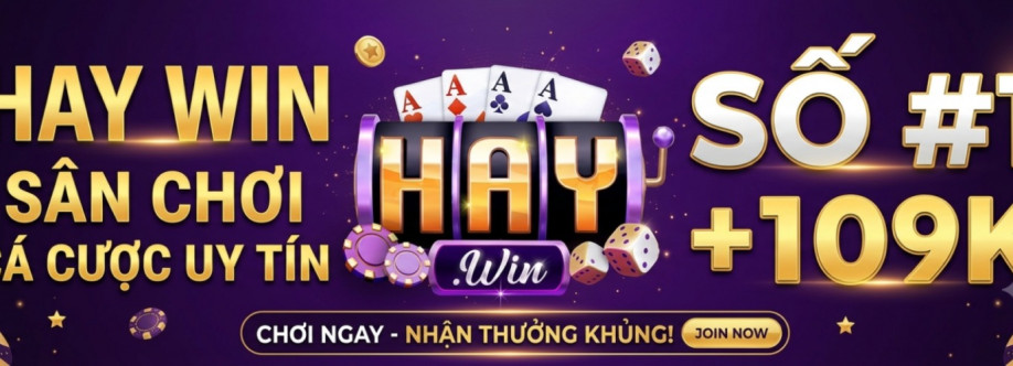 HAYWIN Cover Image