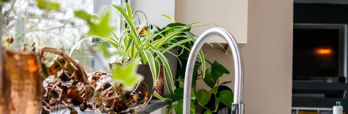 Plants Depot Cover Image