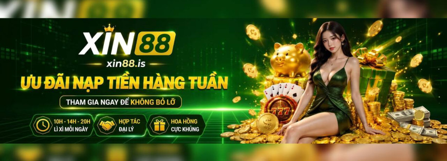 xin88 is Cover Image