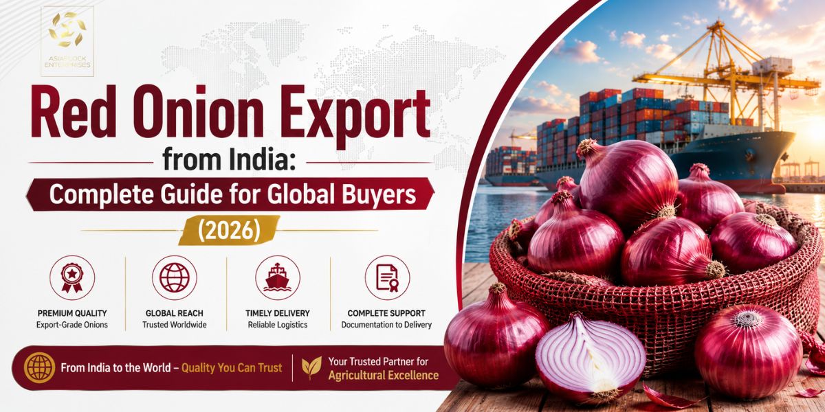 Red Onion Export from India Guide 2026