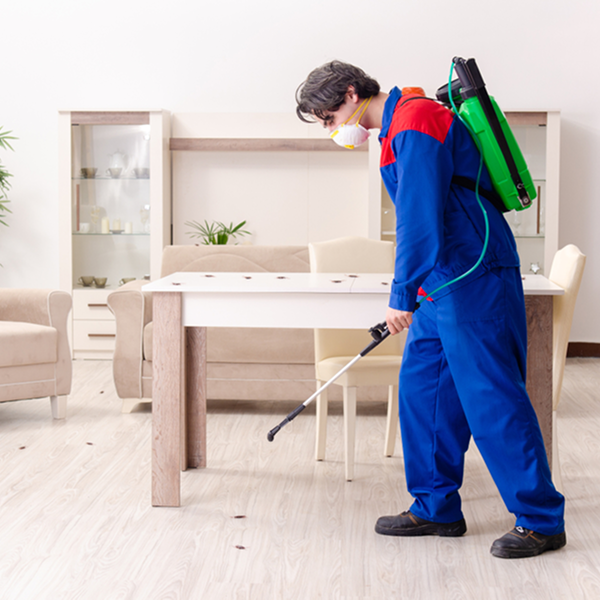 Pest Control Georgetown, KY | Trusted Local Exterminators