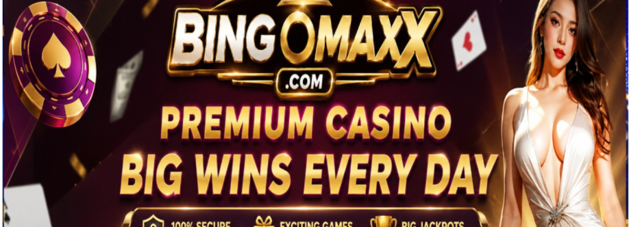 BINGO MAX Cover Image