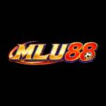 Allslotmobilecasino co uk Profile Picture