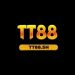 TT88 Profile Picture