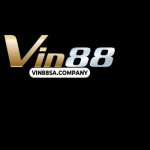 VIN88 SACOMPANY Profile Picture
