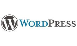 Professional SEO Service for Business | Expo Outdoors