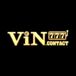Vin777 bid Profile Picture