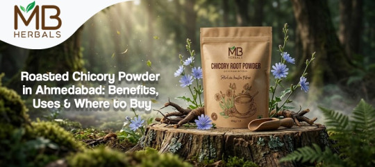 Buy Roasted Chicory Powder in Ahmedabad | MB Herbals Benefits