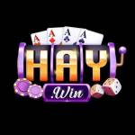 HAYWIN Profile Picture