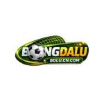 Bdlu Cn Com Profile Picture
