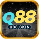 q88 skin Profile Picture