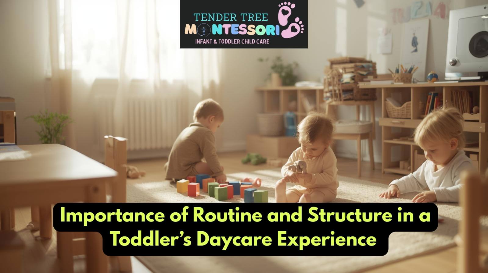 Importance of Routine and Structure in a Toddler’s Daycare Experience - Tendertreeday Care