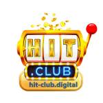 hitclubdigital Profile Picture