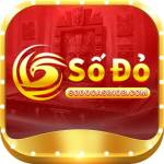 sodocasinobcom Profile Picture