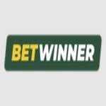 BetWinner Casino Profile Picture