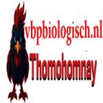 THOMO HOMNAY Profile Picture