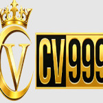cv999 Profile Picture