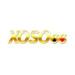 xoso66 online Profile Picture