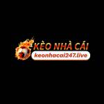 Keo nha cai Profile Picture
