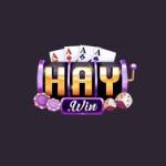 HAYWIN Profile Picture