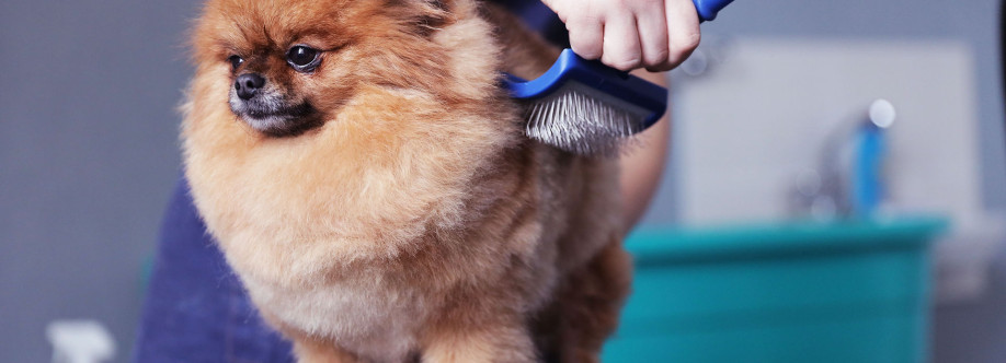 Woof Society Cover Image