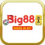 BIG88 Profile Picture