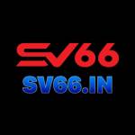 sv66 in Profile Picture
