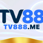 tv888mee Profile Picture