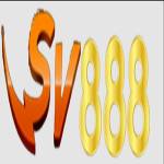 SV888 Profile Picture